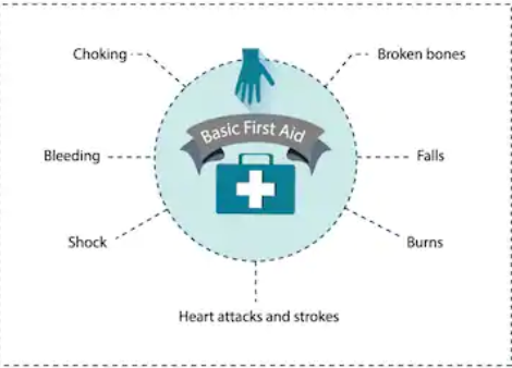 Basic First Aid Skills for Everyone [Class in NYC] Bronxville Adult